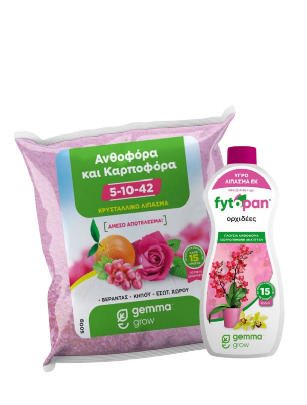 store starter product 1