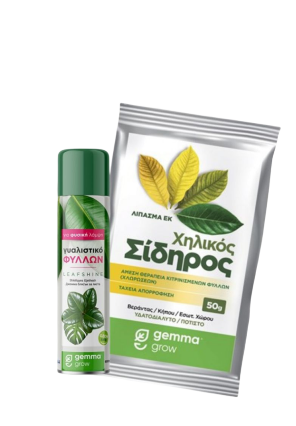 store starter product 2